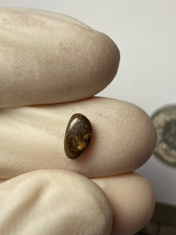 Opale boulder australienne de 0.81 ct (cBO-93) – Image 6