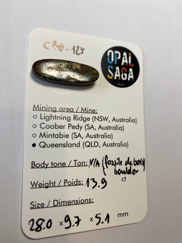 Fossil de bois en opale boulder australienne de 13.9 ct (cBO-125) – Image 4