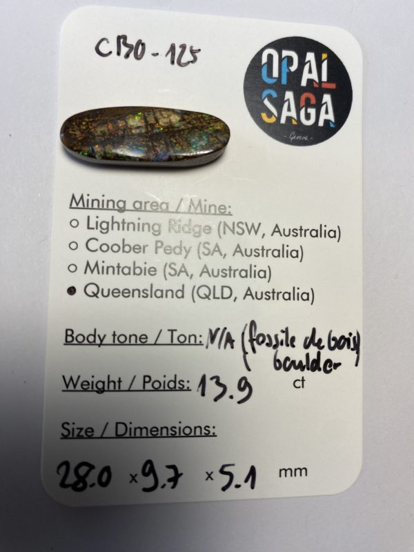 Fossil de bois en opale boulder australienne de 13.9 ct (cBO-125) – Image 5
