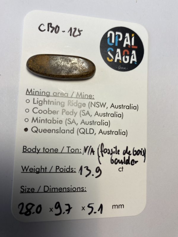 Fossil de bois en opale boulder australienne de 13.9 ct (cBO-125) – Image 7