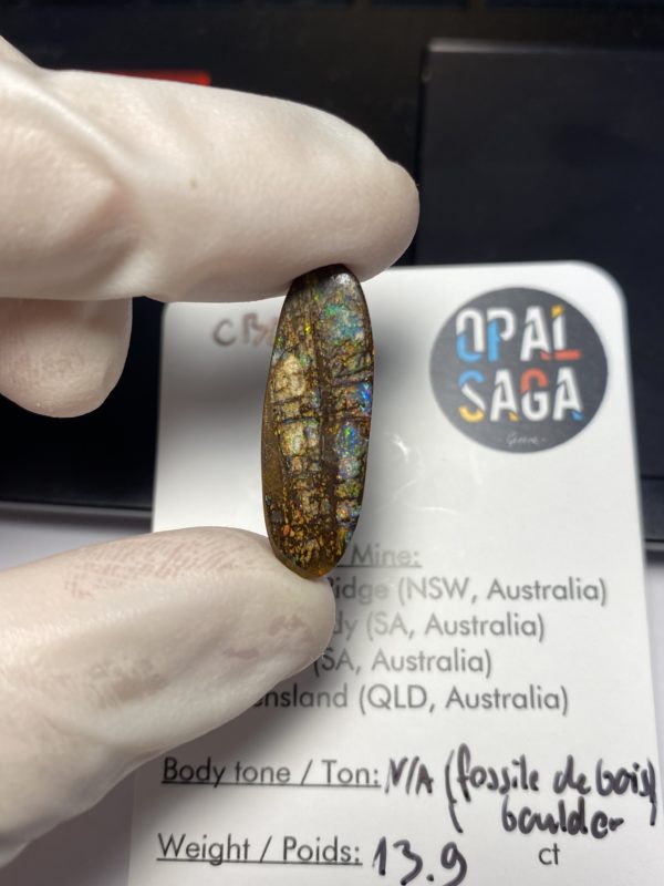 Fossil de bois en opale boulder australienne de 13.9 ct (cBO-125) – Image 26