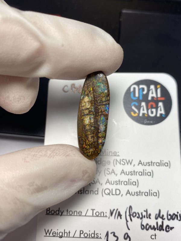 Fossil de bois en opale boulder australienne de 13.9 ct (cBO-125) – Image 25
