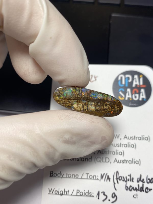 Fossil de bois en opale boulder australienne de 13.9 ct (cBO-125) – Image 24