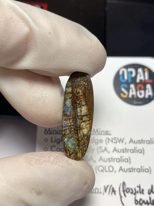 Fossil de bois en opale boulder australienne de 13.9 ct (cBO-125) – Image 23