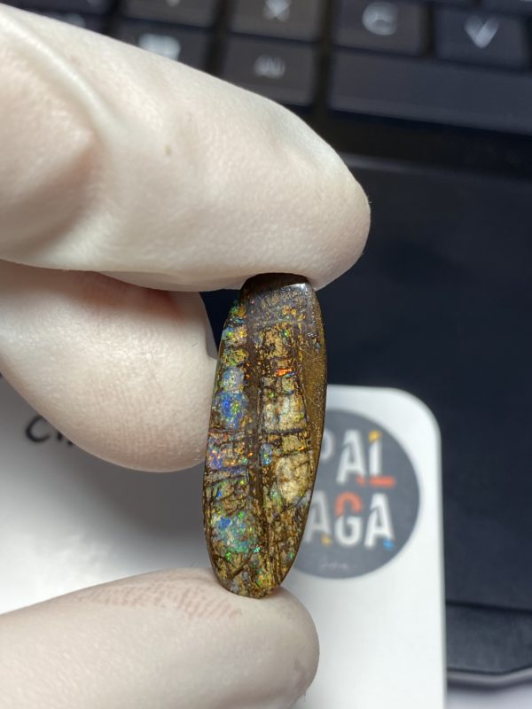 Fossil de bois en opale boulder australienne de 13.9 ct (cBO-125) – Image 22