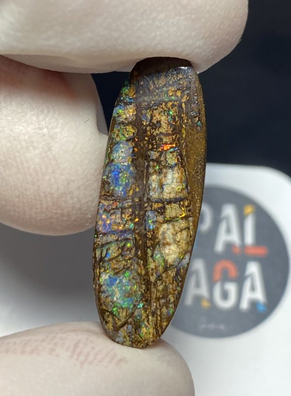 Fossil de bois en opale boulder australienne de 13.9 ct (cBO-125)