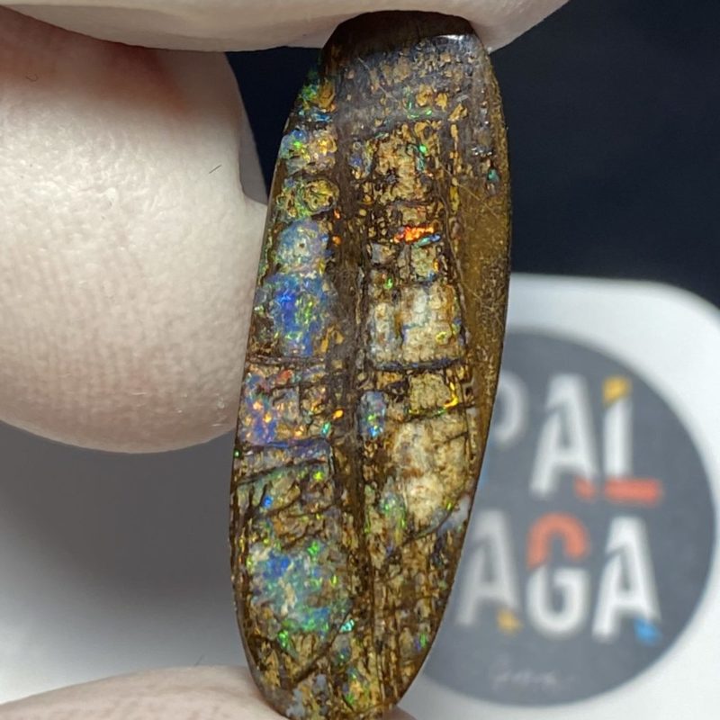 Fossil de bois en opale boulder australienne de 13.9 ct (cBO-125)