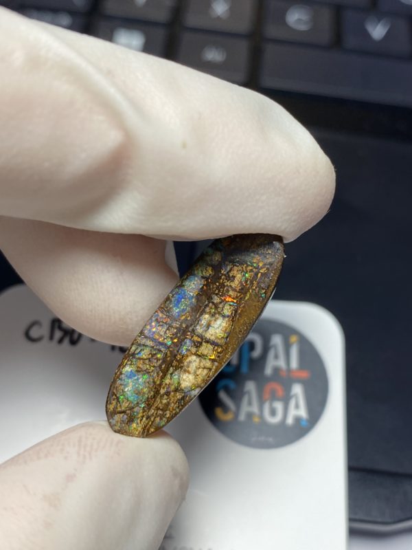 Fossil de bois en opale boulder australienne de 13.9 ct (cBO-125) – Image 21
