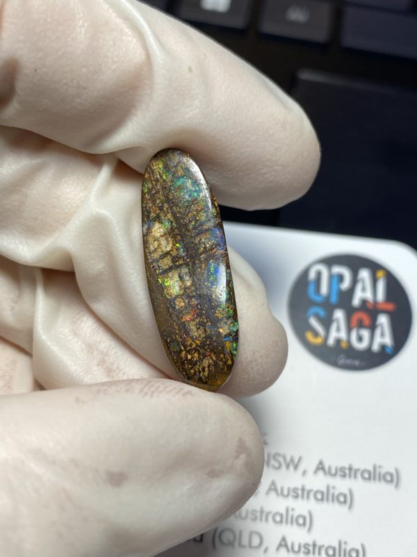 Fossil de bois en opale boulder australienne de 13.9 ct (cBO-125) – Image 19