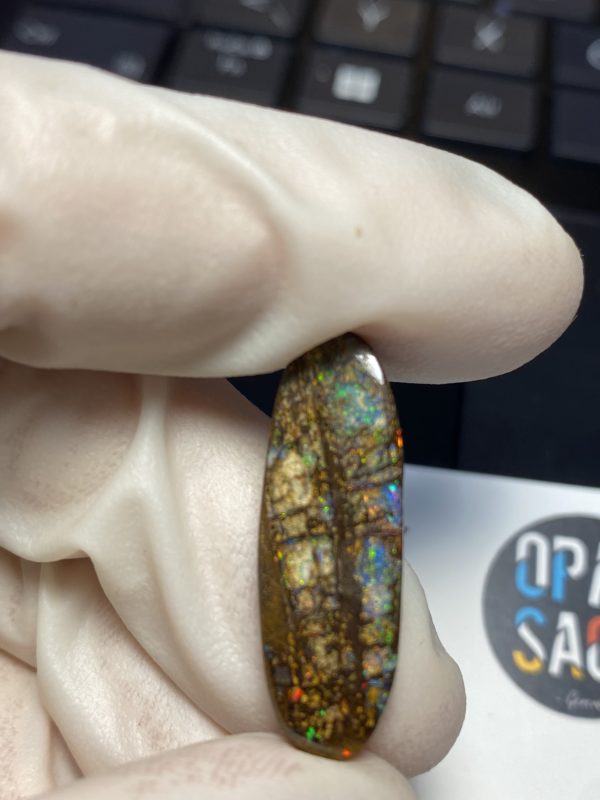 Fossil de bois en opale boulder australienne de 13.9 ct (cBO-125) – Image 18