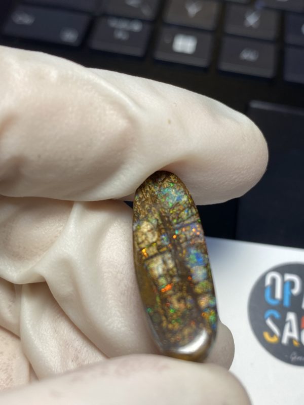 Fossil de bois en opale boulder australienne de 13.9 ct (cBO-125) – Image 17