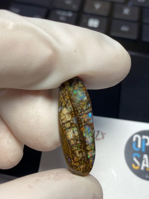 Fossil de bois en opale boulder australienne de 13.9 ct (cBO-125) – Image 16