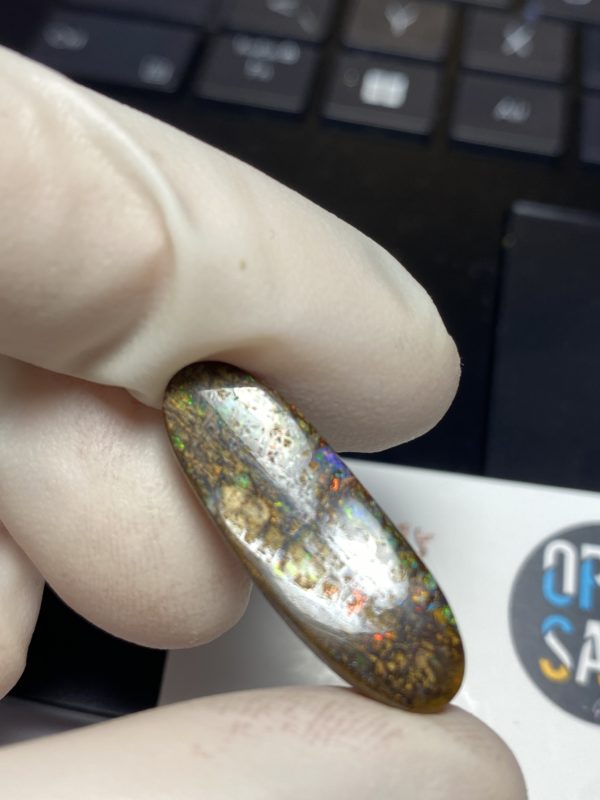 Fossil de bois en opale boulder australienne de 13.9 ct (cBO-125) – Image 15