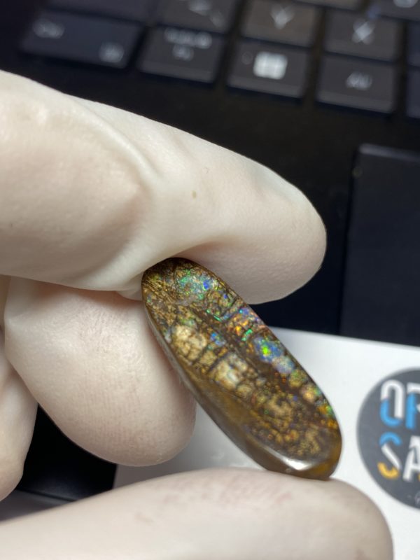 Fossil de bois en opale boulder australienne de 13.9 ct (cBO-125) – Image 14