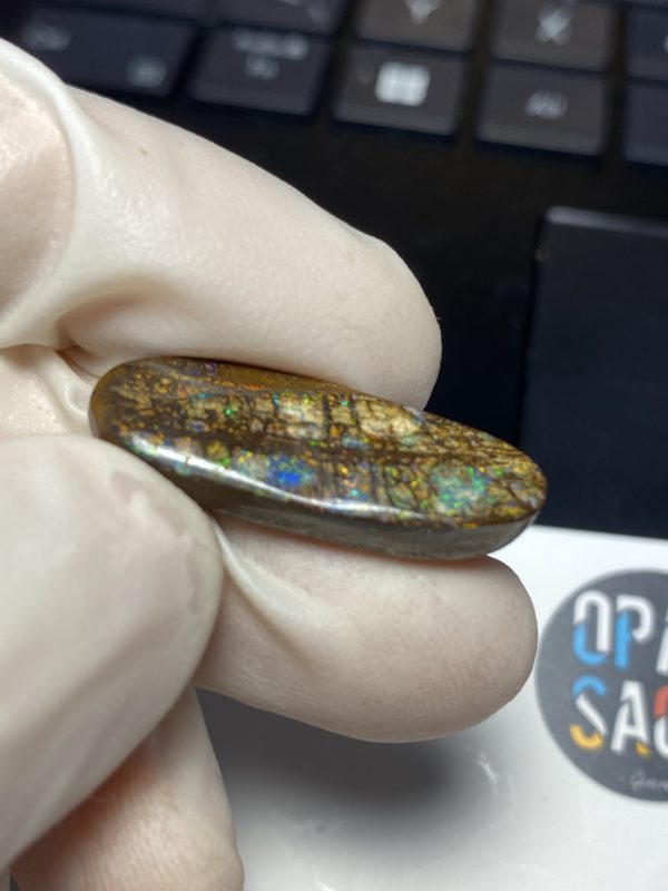 Fossil de bois en opale boulder australienne de 13.9 ct (cBO-125) – Image 13