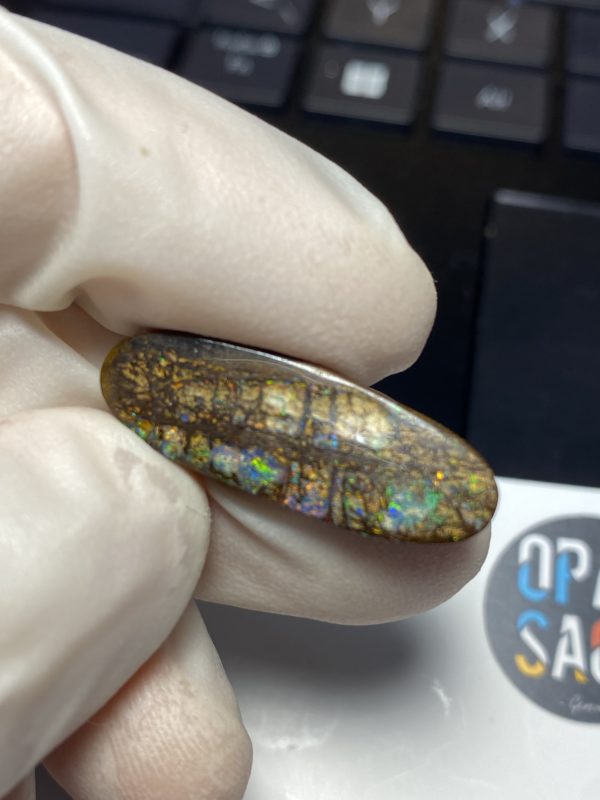 Fossil de bois en opale boulder australienne de 13.9 ct (cBO-125) – Image 2
