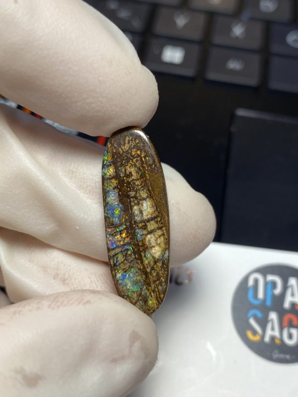 Fossil de bois en opale boulder australienne de 13.9 ct (cBO-125) – Image 12