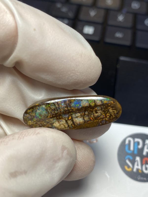 Fossil de bois en opale boulder australienne de 13.9 ct (cBO-125) – Image 11