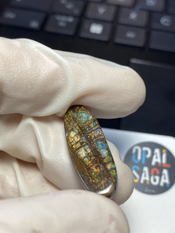 Fossil de bois en opale boulder australienne de 13.9 ct (cBO-125) – Image 9