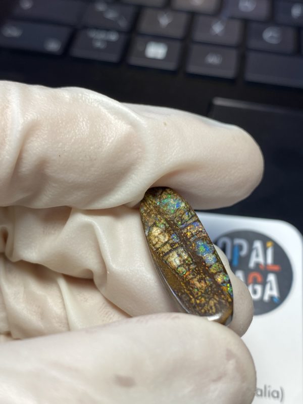 Fossil de bois en opale boulder australienne de 13.9 ct (cBO-125) – Image 8