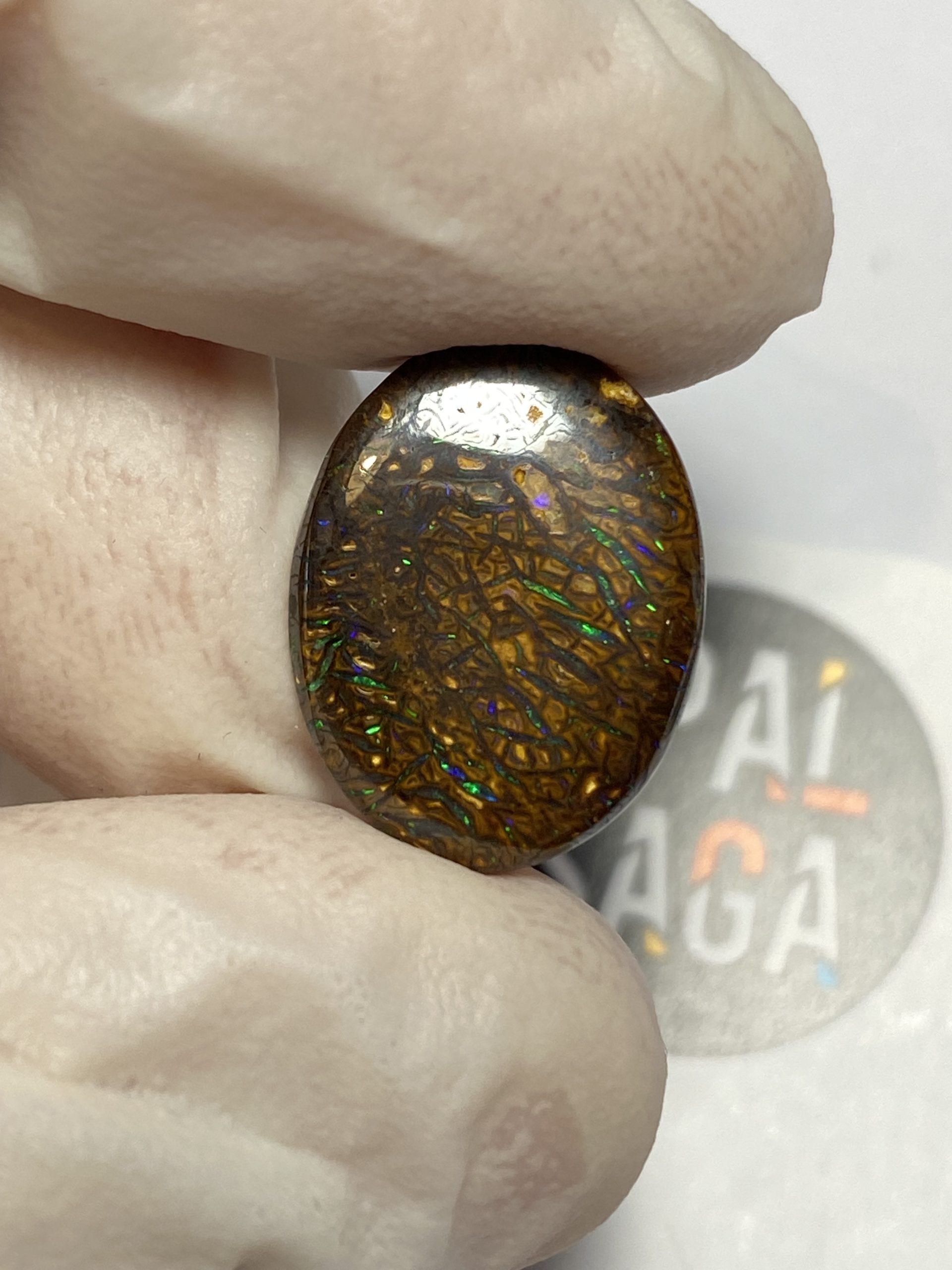 Opale boulder australienne de 9.8 ct (cBO-139) – Image 12