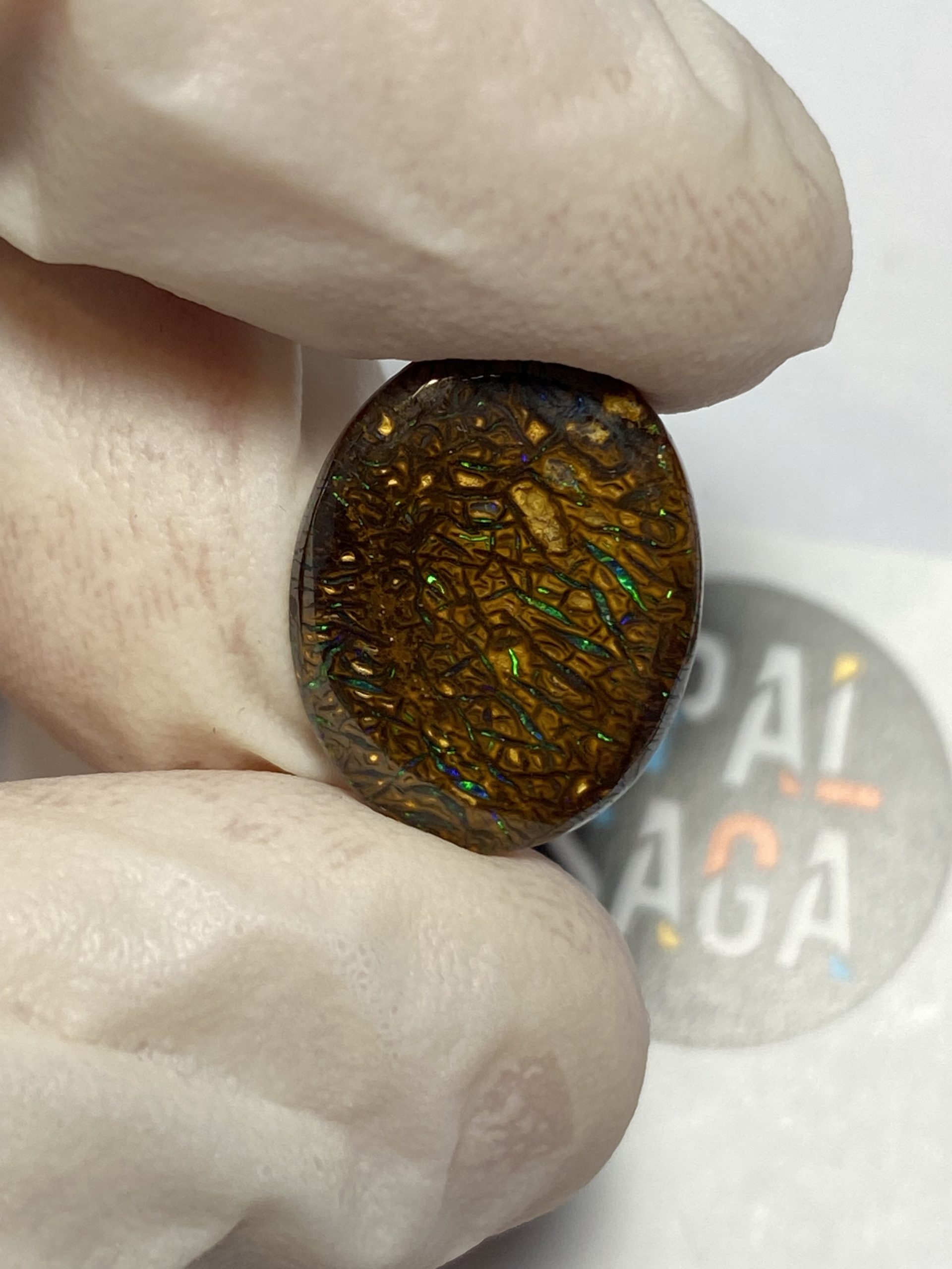 Opale boulder australienne de 9.8 ct (cBO-139) – Image 11