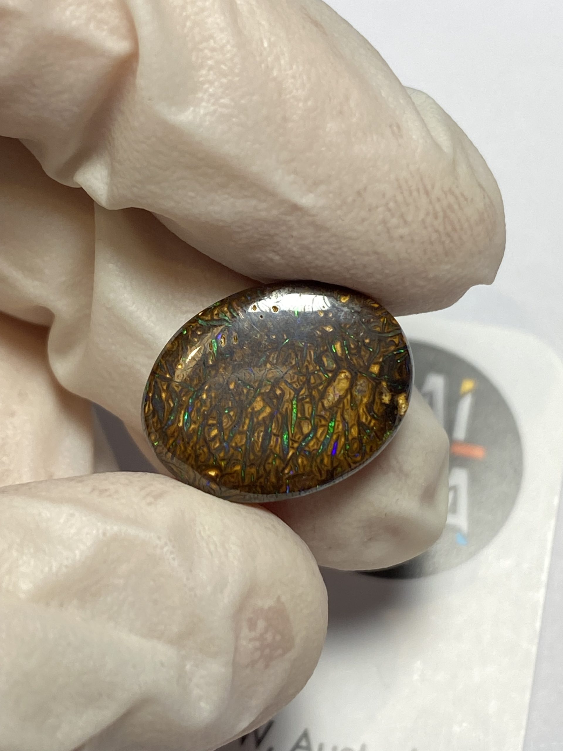 Opale boulder australienne de 9.8 ct (cBO-139) – Image 9