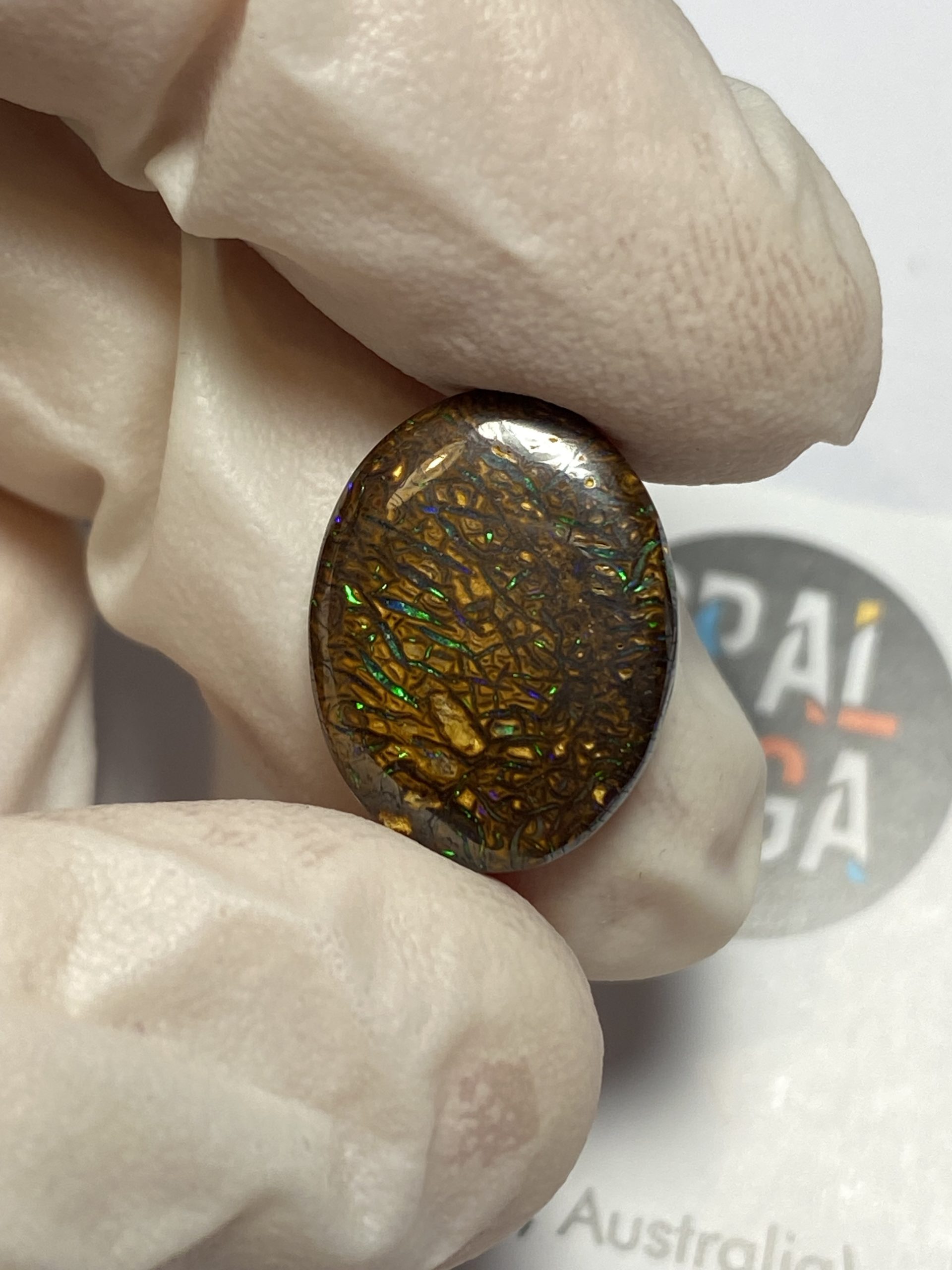 Opale boulder australienne de 9.8 ct (cBO-139) – Image 8