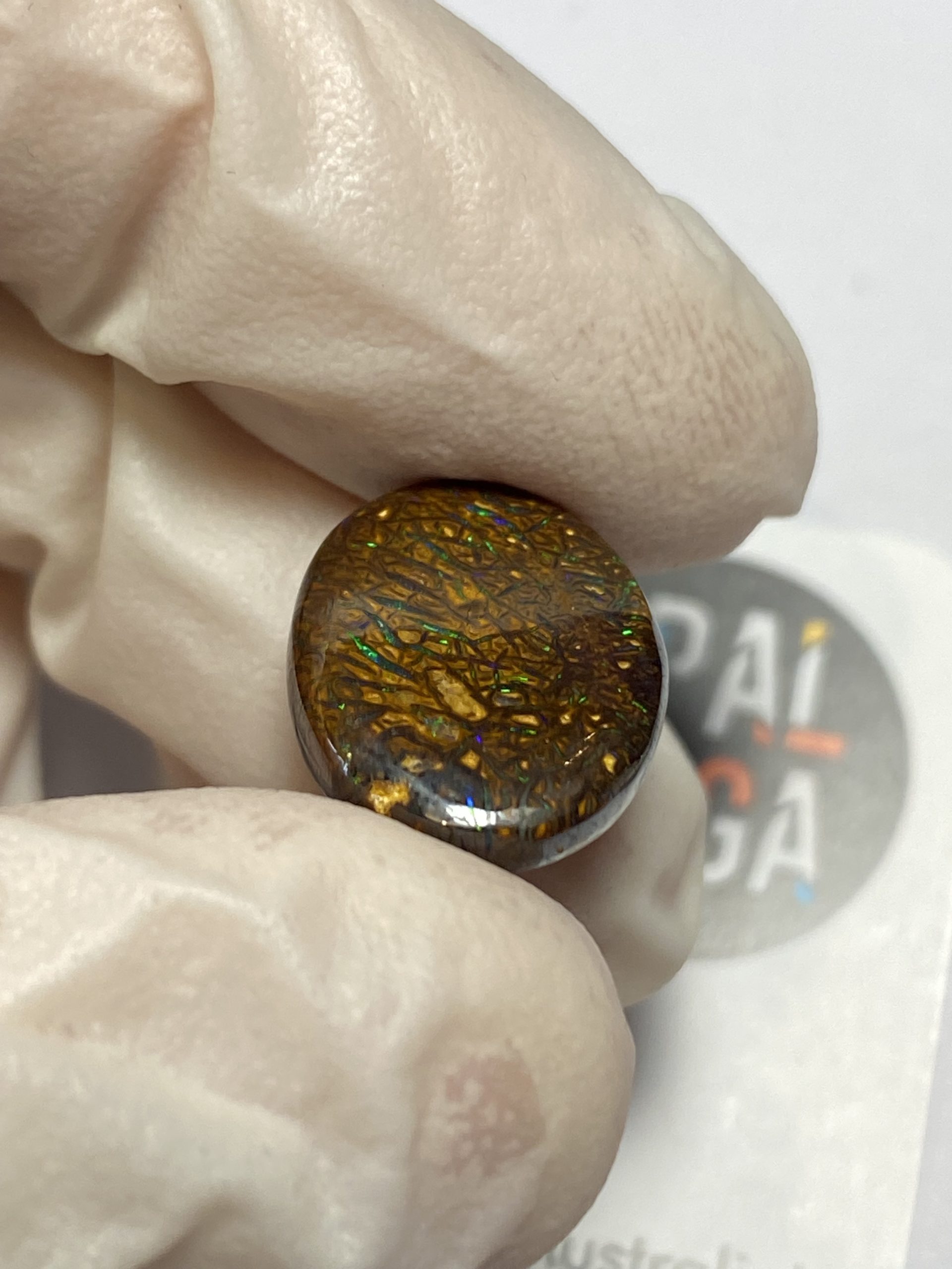 Opale boulder australienne de 9.8 ct (cBO-139) – Image 7