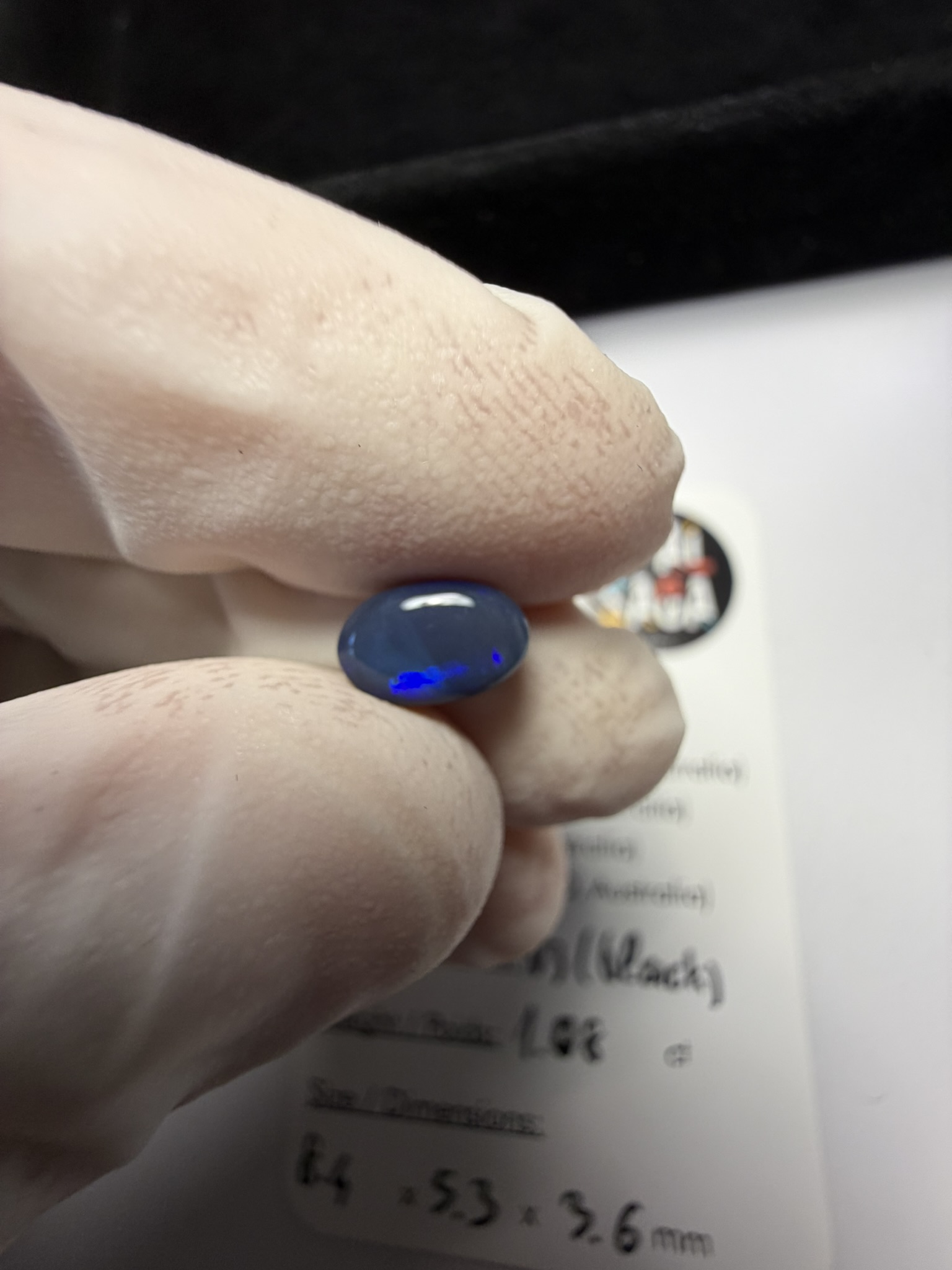 Opale noire australienne de Lightning Ridge de 1.08 ct (cLR-183) – Image 6