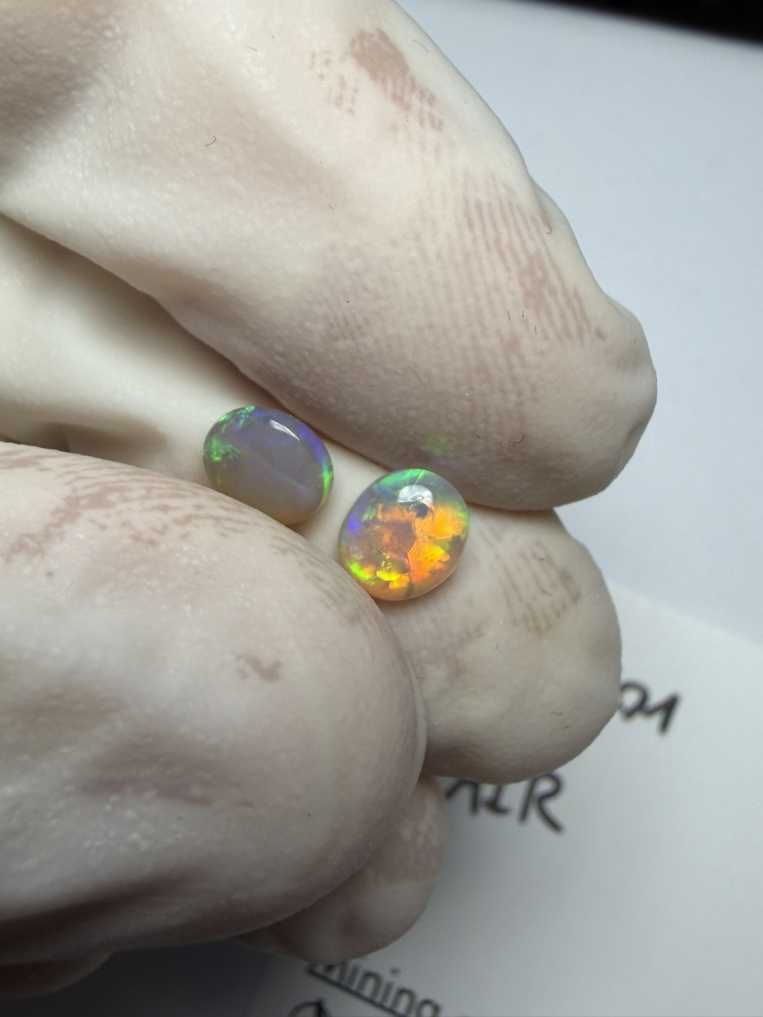 Paire d'opales cristal australiennes de Lightning Ridge de 0.74 ct au total (cLR-201) – Image 8