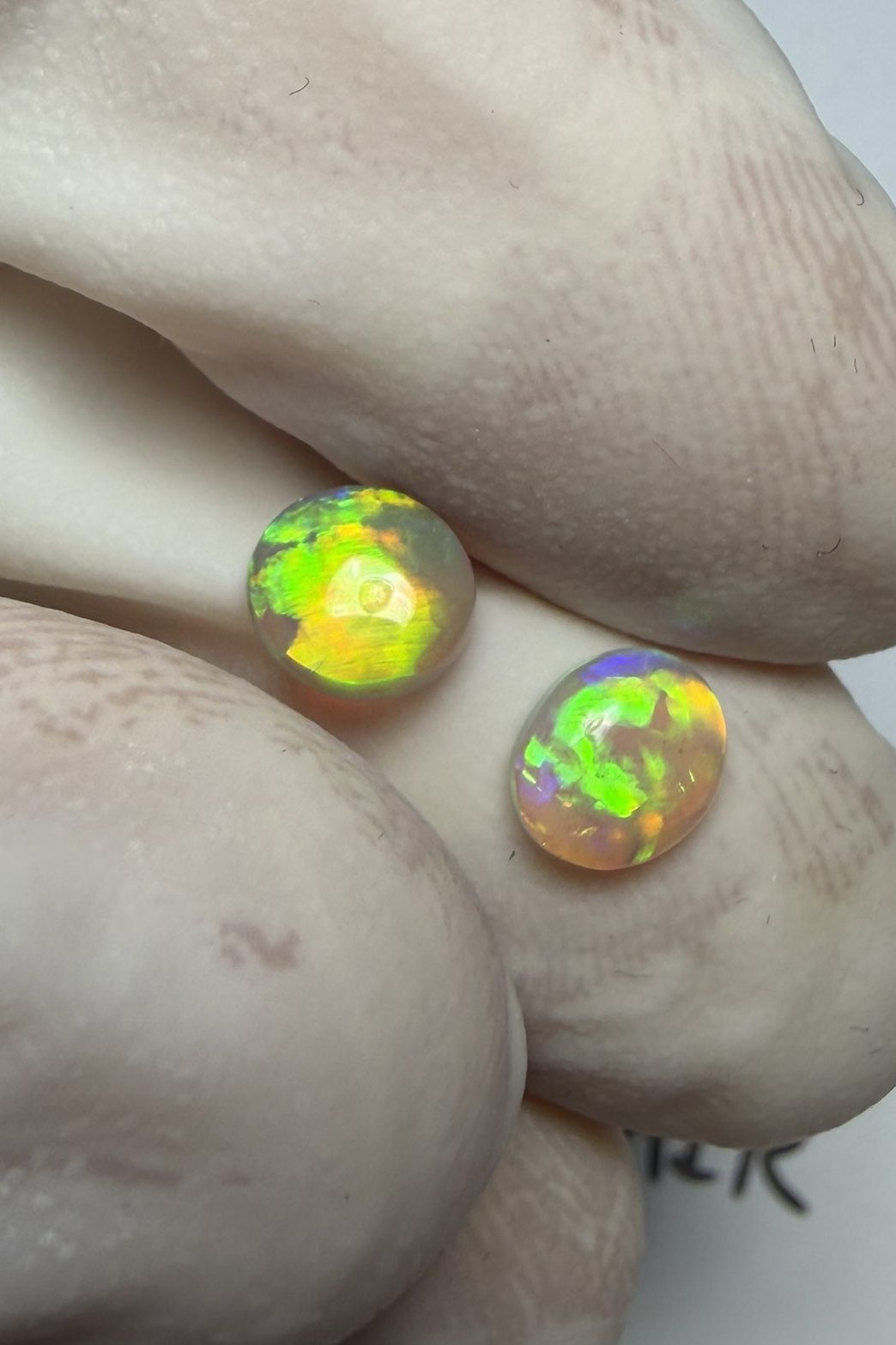 Paire d'opales cristal australiennes de Lightning Ridge de 0.74 ct au total (cLR-201)