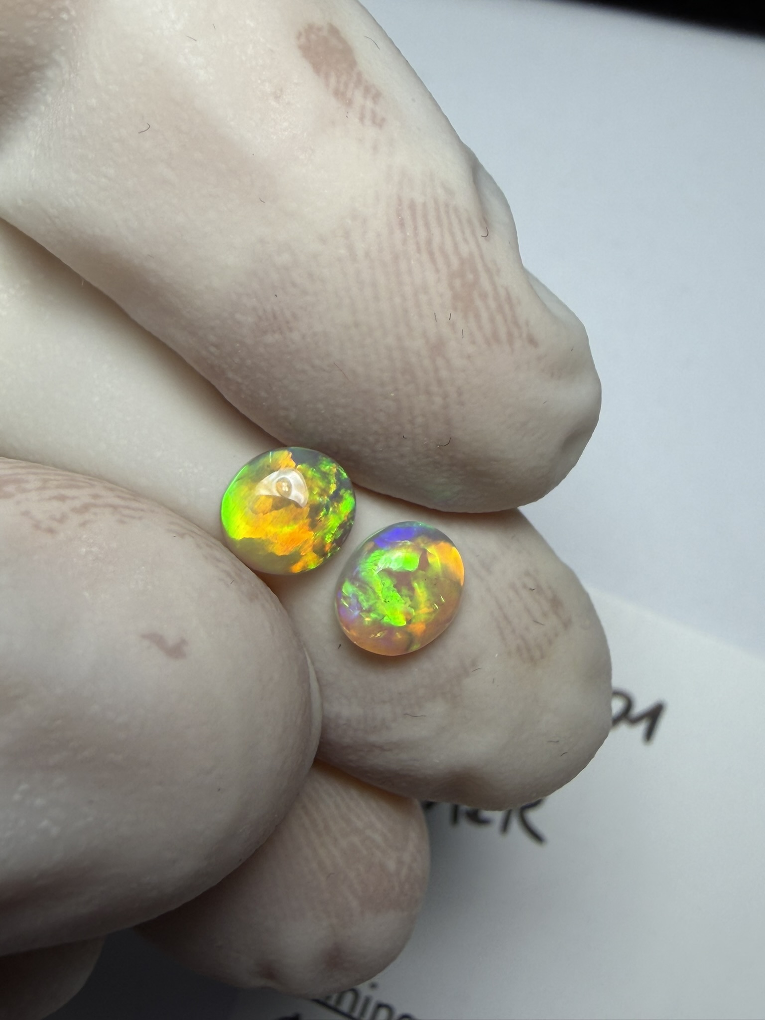 Paire d'opales cristal australiennes de Lightning Ridge de 0.74 ct au total (cLR-201) – Image 21