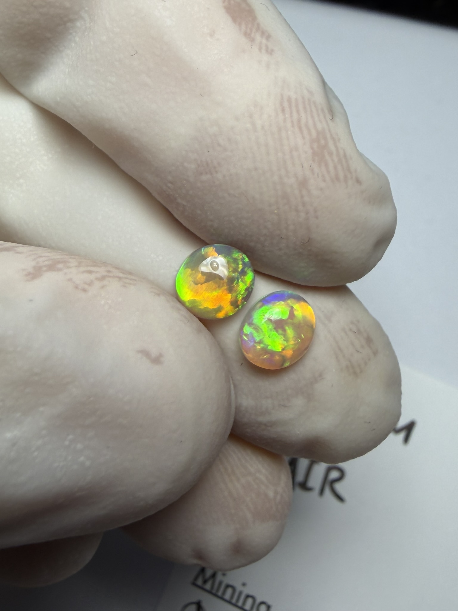 Paire d'opales cristal australiennes de Lightning Ridge de 0.74 ct au total (cLR-201) – Image 20