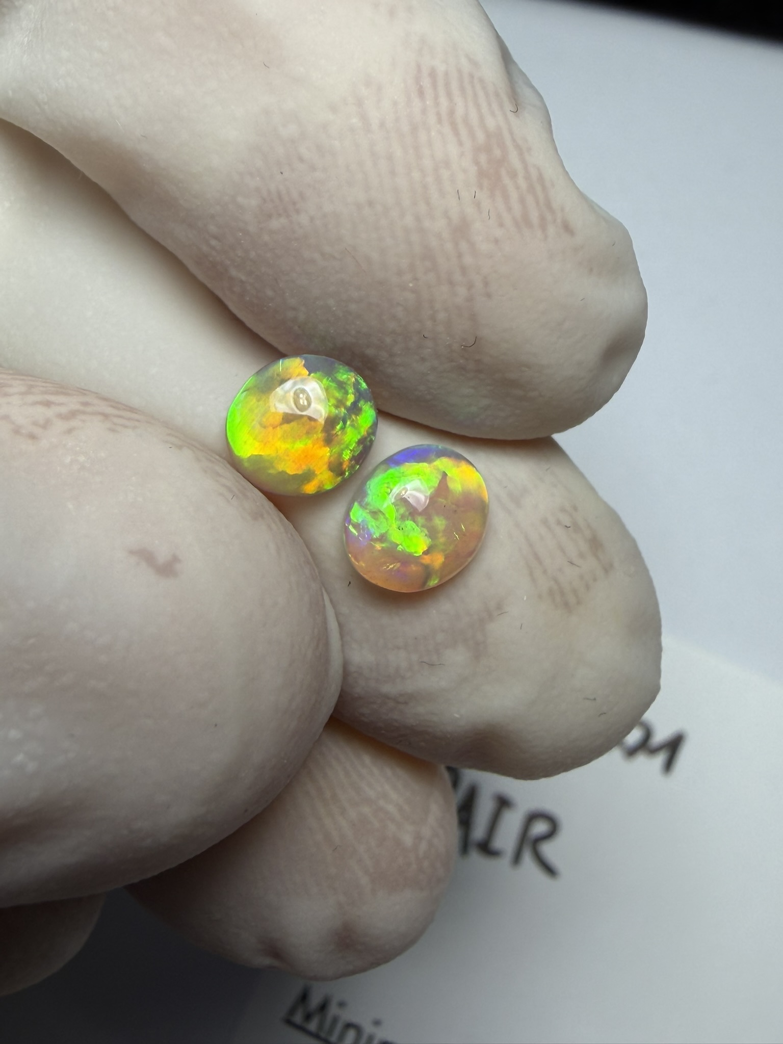 Paire d'opales cristal australiennes de Lightning Ridge de 0.74 ct au total (cLR-201) – Image 19