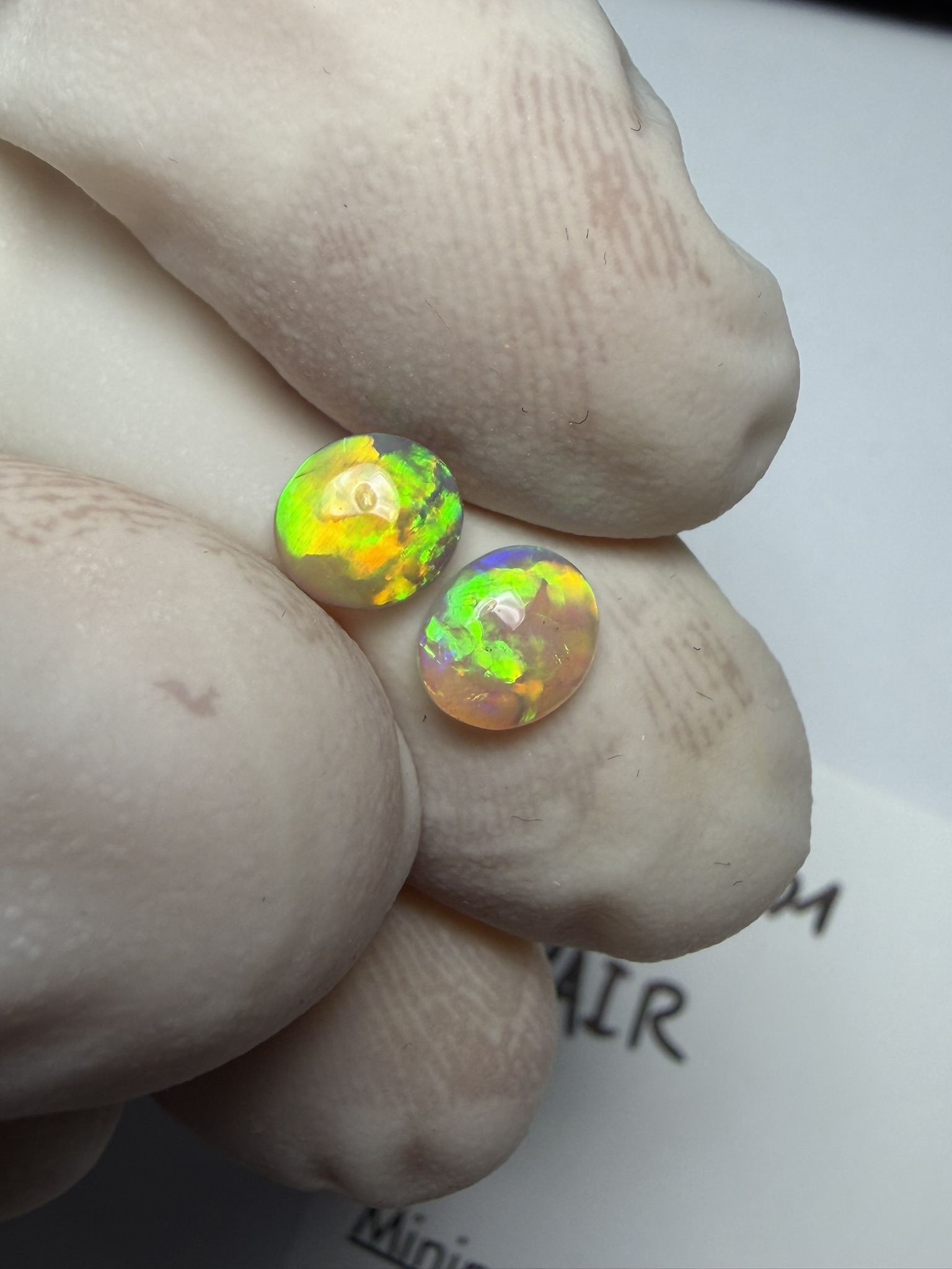 Paire d'opales cristal australiennes de Lightning Ridge de 0.74 ct au total (cLR-201) – Image 18