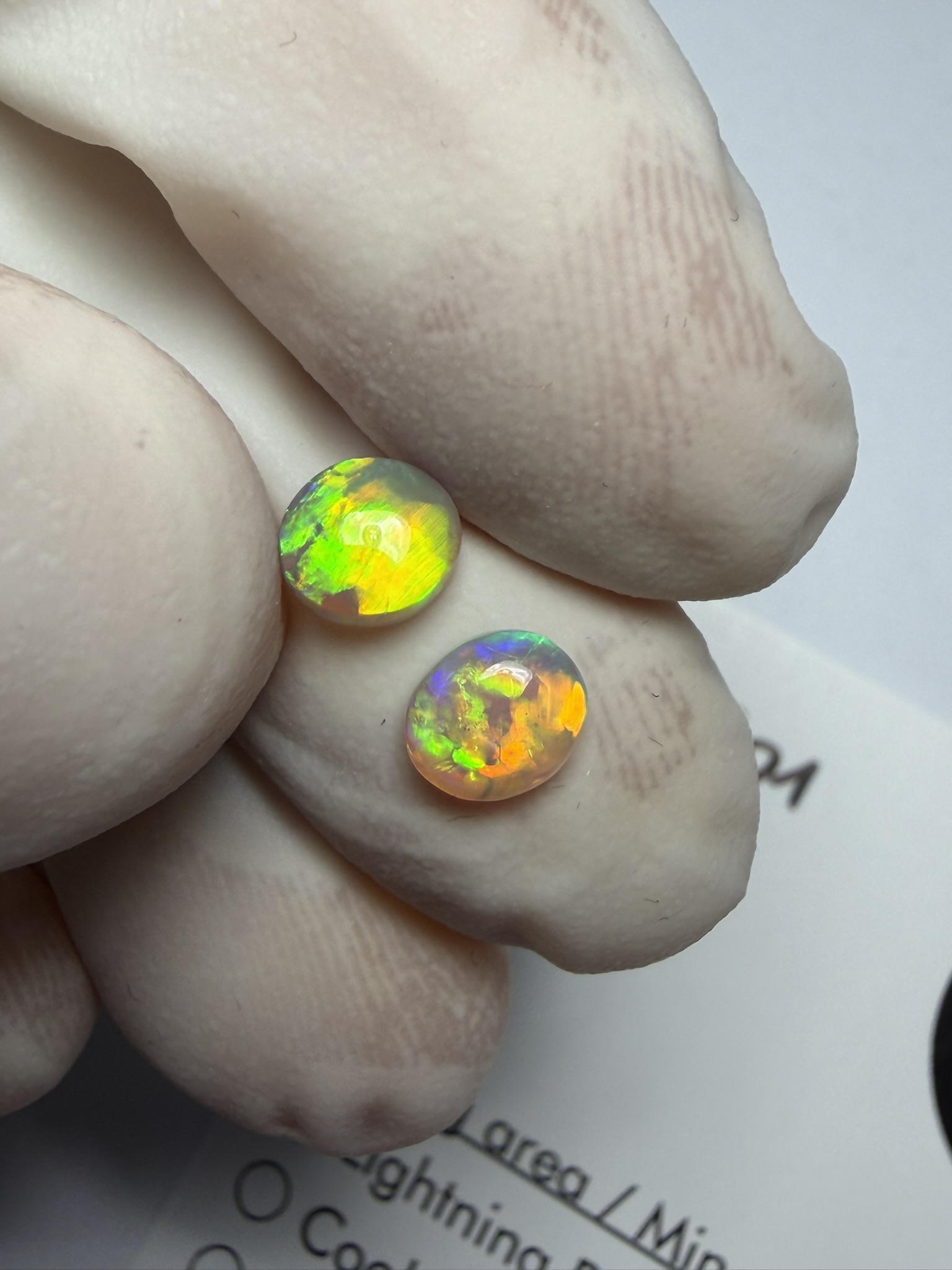 Paire d'opales cristal australiennes de Lightning Ridge de 0.74 ct au total (cLR-201) – Image 16