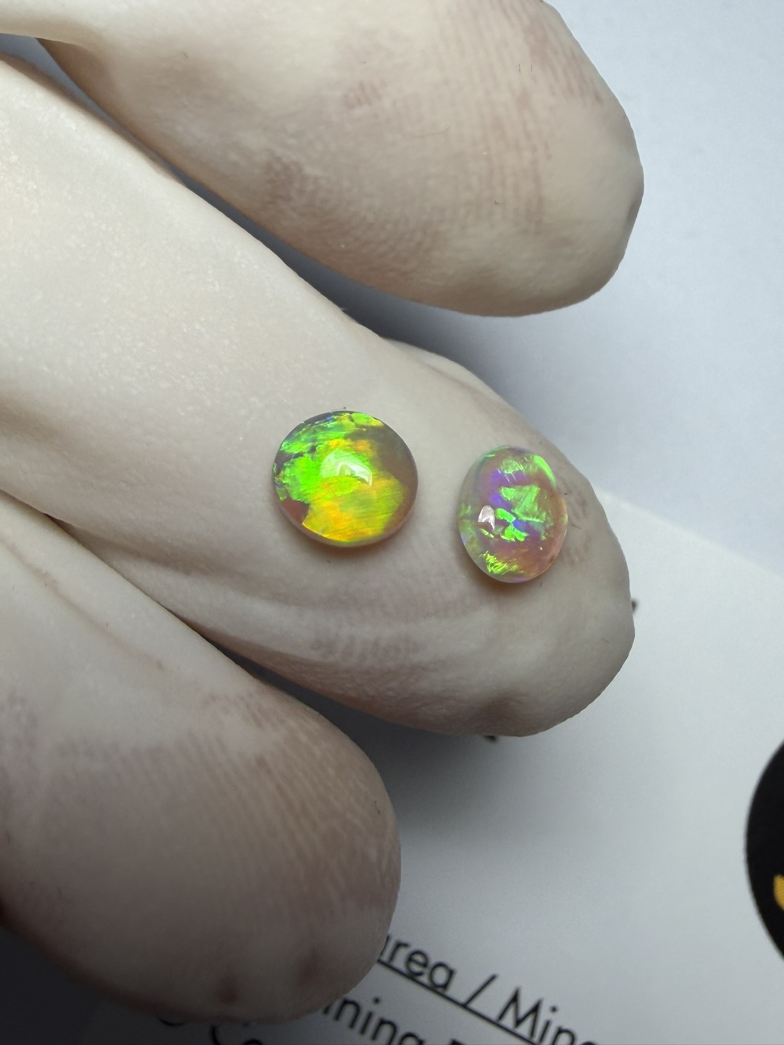 Paire d'opales cristal australiennes de Lightning Ridge de 0.74 ct au total (cLR-201) – Image 30