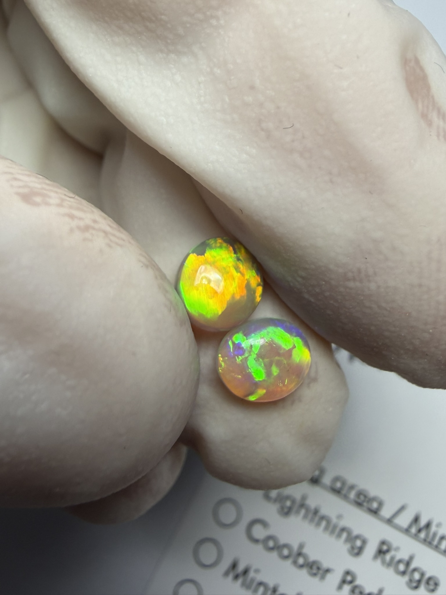 Paire d'opales cristal australiennes de Lightning Ridge de 0.74 ct au total (cLR-201) – Image 25