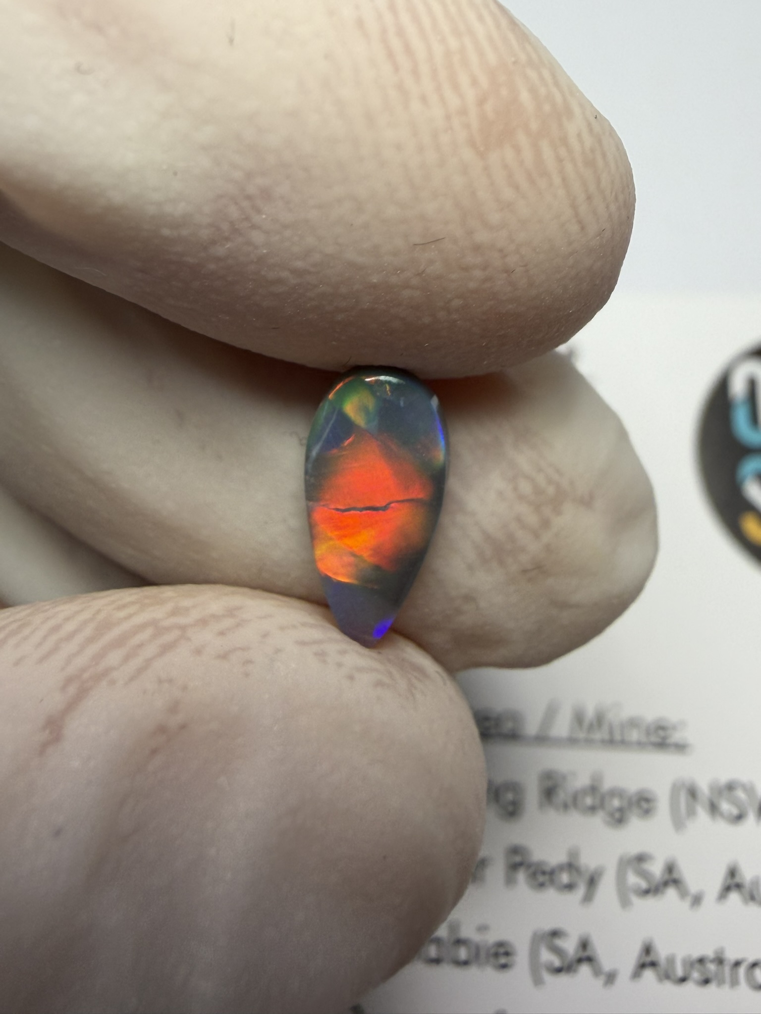 Opale foncée australienne de Lightning Ridge de 0.60 ct (cLR-212) – Image 36