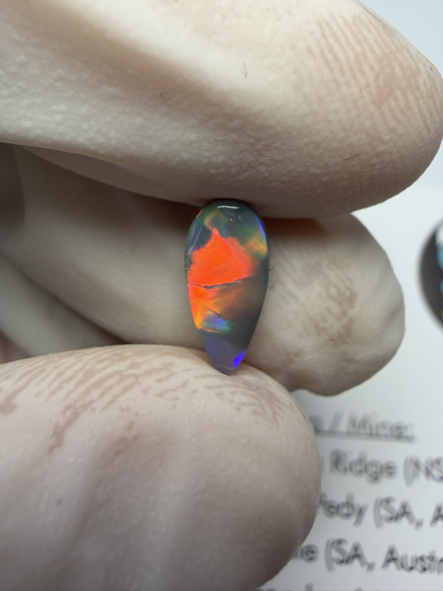 Opale foncée australienne de Lightning Ridge de 0.60 ct (cLR-212) – Image 41