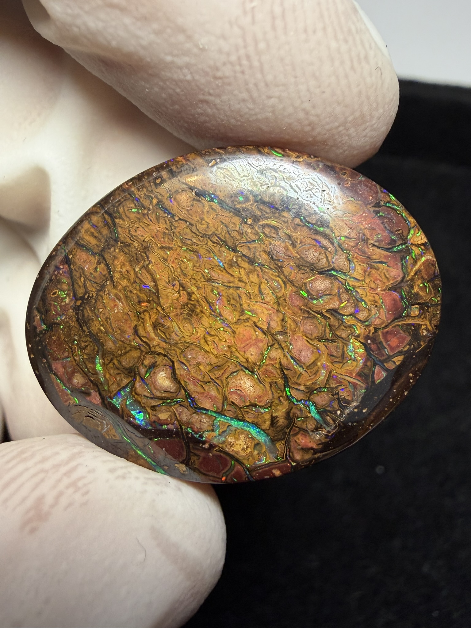 Opale boulder australienne de 42.3 ct (CBO-224) – Image 30