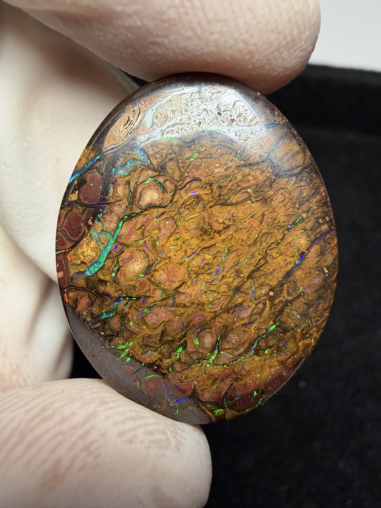 Opale boulder australienne de 42.3 ct (CBO-224) – Image 29